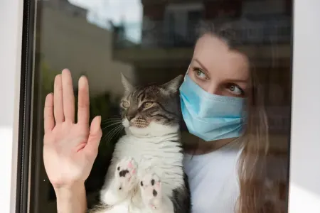 Bu heyvanlar yenidən koronovirus daşıyıcısı hesab olunur? - Əhalinin DİQQƏTİNƏ