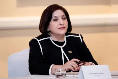 Heç kim etnik erməniləri buna məcbur etməyib - Sahibə Qafarova