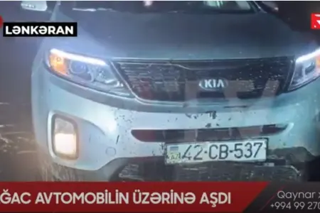 Ağac avtomobilin üzərinə aşdı