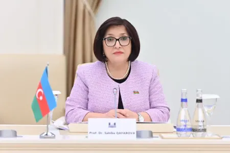 Sahibə Qafarova Türkiyə Respublikasının ailə və sosial xidmətlər naziri ilə görüşüb - -VİDEO