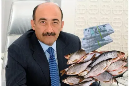 Əbülfəs Qarayev balıq biznesinə başladı - FOTO