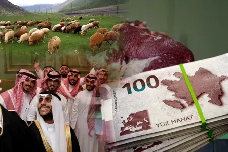 Mal-qara ərəblərə satıldığı üçün ət - BAHALAŞIR?