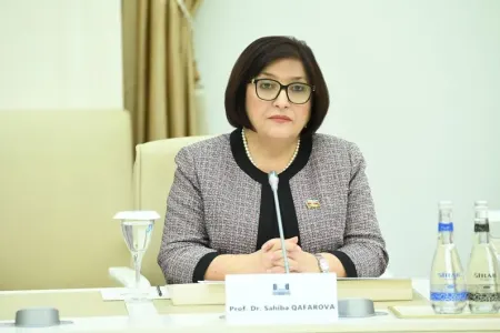 "Bu, Cənubi Qafqazın inkişafına öz təsirini göstərəcək" - Sahibə Qafarova