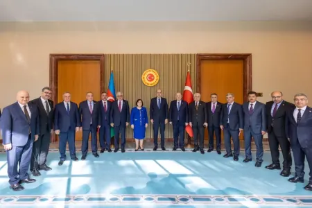 TBMM sədrinin Sahibə Qafarova ilə görüşü - OLDU