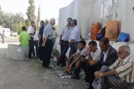Nazirdən 1200 işsizə ŞAD - XƏBƏR - FOTO