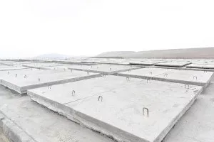 Nazir kənd təsərrüfatı müəssisələrində - FOTO / VİDEO