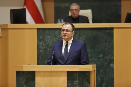 Rati Breqadze: - "Prezident iş səfəri üçün hökümətin icazəsini almalıdır"