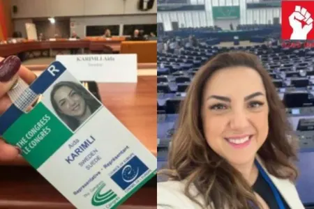 Aida Kərimli Avropada yüksək vəzifəyə seçildi