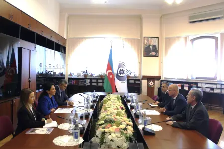 Ombudsman UNICEF-in ölkəmizdəki nümayəndəsini qəbul etdi