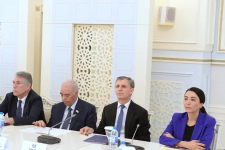 Ombudsman qanun layihəsinin müzakirəsində - iştirak etdi
