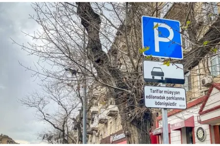 Bakıda parklanma lövhələri oğurlandı - VİDEO
