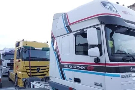 TIR-larla gəlin gətirməyə gedənləri polis saxladı - – VİDEO