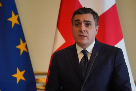"Tiflis sülh prosesində rolunu uğurla oynayır" - Gürcü nazir