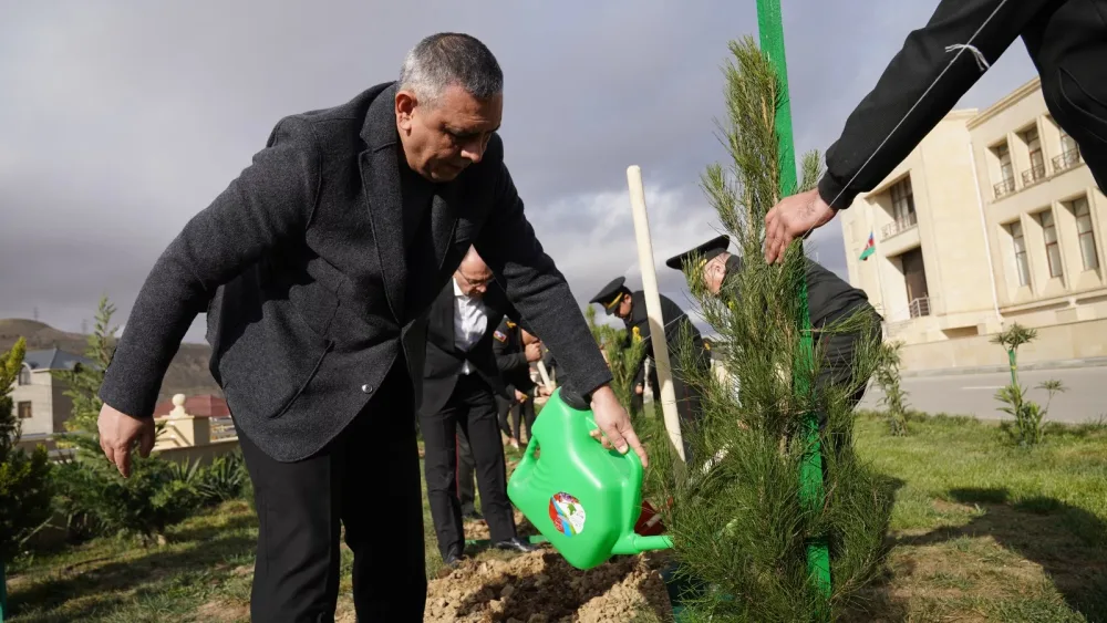Dövlət Xidməti ağacəkmə aksiyası keçirdi - FOTO / VİDEO