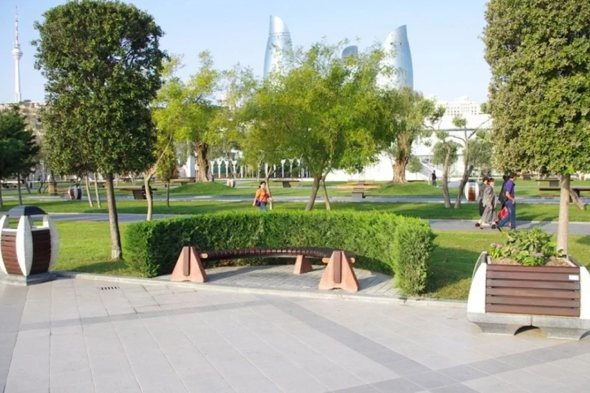 Bakıda parkda DAVA: - Gənc oğlan QAZİNİ ÖLDÜRDÜ