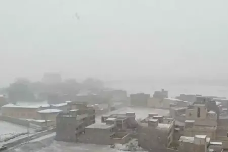 Güney Azərbaycan qara büründü - VİDEO