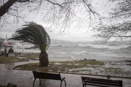 Güclü yağış, külək: Ölənlər var