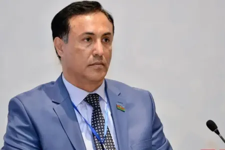 “Cənubi Qafqazı “ukraynalaşdırmağa” çalışırlar” - – Elman Nəsirov