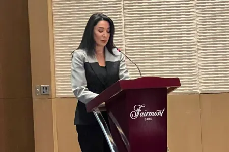 "Dünyada İnsan hüquqlarının kütləvi pozulması halları hələ də var" - Səbinə Əliyeva