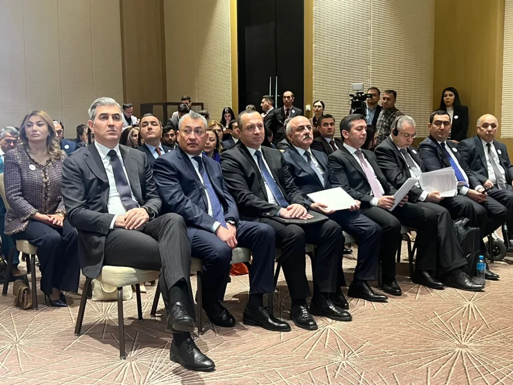 "Dünyada İnsan hüquqlarının kütləvi pozulması halları hələ də var" - Səbinə Əliyeva