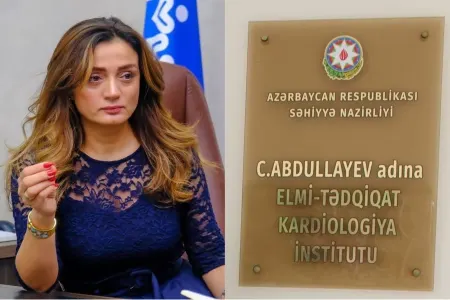 İnstitutda professorlar arasında dava - Elmlər doktoru Elmi Şuradan qovuldu
