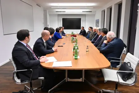 Berlin şəhərində sülh təşəbbüslərindən danışıldı - FOTO