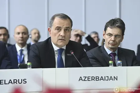 Nazir ATƏT-in iclasında çıxış etdi - FOTO