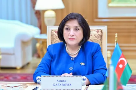 Sahibə Qafarova Almaniya Bundestaqının sədri ilə görüşdü