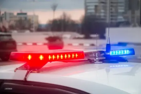 Azərbaycanlı polisi işdən qovub cinayət işi - AÇDILAR