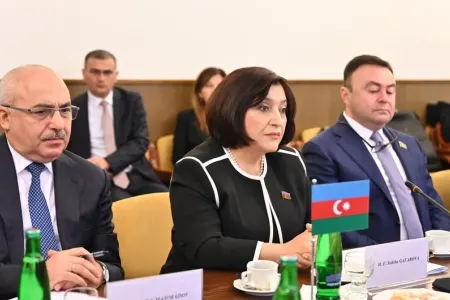 Sahibə Qafarova Çexiya-Azərbaycan parlamentlərarası dostluq qrupunun üzvləri ilə görüşüb