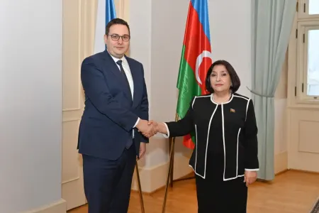 Sahibə Qafarova Yan Lipavski ilə görüşdü