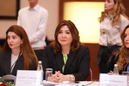 "Erkən nikahlarda cəmiyyəti ittiham etməməliyik" - VİDEO