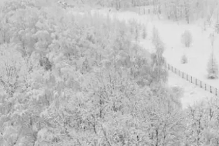 Sibir soyuğu olacaq: - 22 dərəcə şaxta