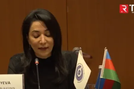 "Azərbaycanda 3416 nəfər mina qurbanı olub" - VİDEO
