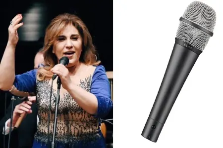 Məşhur xanəndə toyda DAVA SALDI - Mikrafonu həmkarının başında VURDU - VİDEO