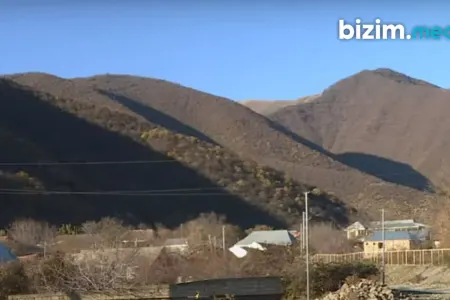 Şəkinin çağırılmamış “QONAQ”LARI - – Ayılar artıq kəndlərə də GƏLİRLƏR – FOTO