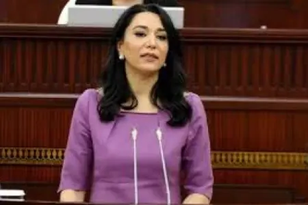 Ermənistanın hərbçimizi ömürlük həbsə məhkum etməsi beynəlxalq hüquqa ziddir