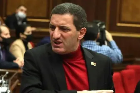 Sahibsiz itlər keçmiş erməni deputata hücum etdi