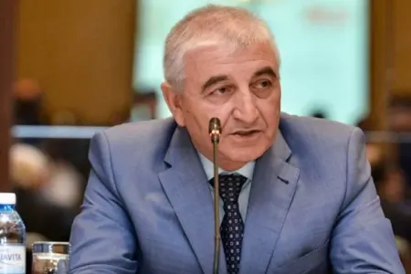 “Qapılarımız beynəlxalq qurumların nümayəndələrinə açıqdır” - Məzahir Pənahov