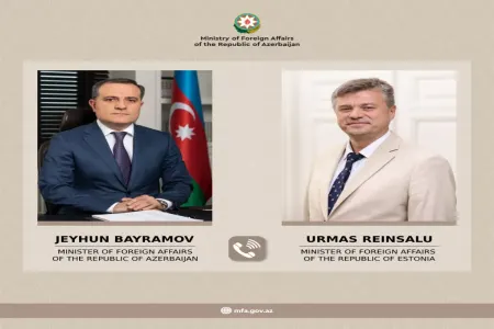 Ceyhun Bayramov estoniyalı həmkarı ilə - DANIŞDI