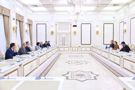 Sahibə Qafarova Avropa Şurasının Baş katibi ilə görüşüb
