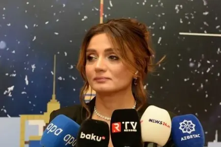 "Zəlzələdən sonra bizə müraciət edənlərin sayı artıb" - Gülnaz Dadaşova - VİDEO
