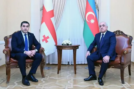 Əli Əsədov Gürcüstan parlamentinin sədri ilə görüşdü - FOTO