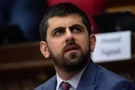 "Rusiya platforması səmərəsiz olacaq" - Xandanyan __NEWL__