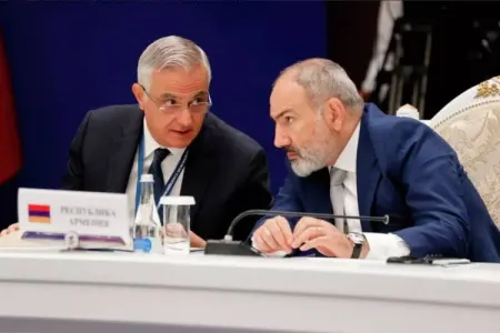 "Demarkasiya və delimitasiya prosesi illərlə davam edə bilər" - Qriqoryan