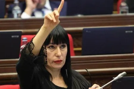 Erməni diplomatdan xəbərdarlıq: - "əgər rus ayısını qəzəbləndirsək..."