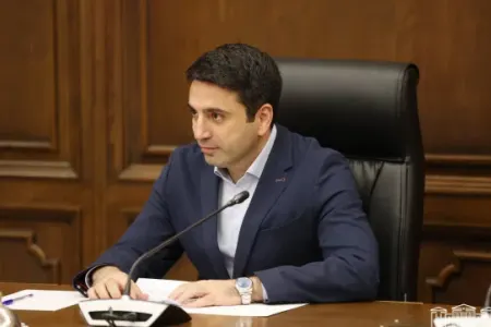 "Sərhədlərin delimitasiyası sülh sazişindən sonra da həll edilə bilər"
