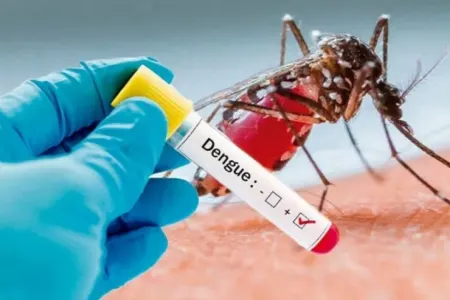 Dünyada daha bir qorxulu xəstəlik yaylıır