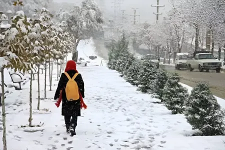 Şərqi Azərbaycanda məktəblərin fəaliyyəti - DAYANDIRILDI
