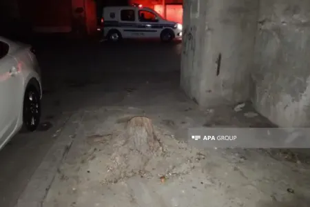 Bakıda gənc oğlan qətlə yetirilib